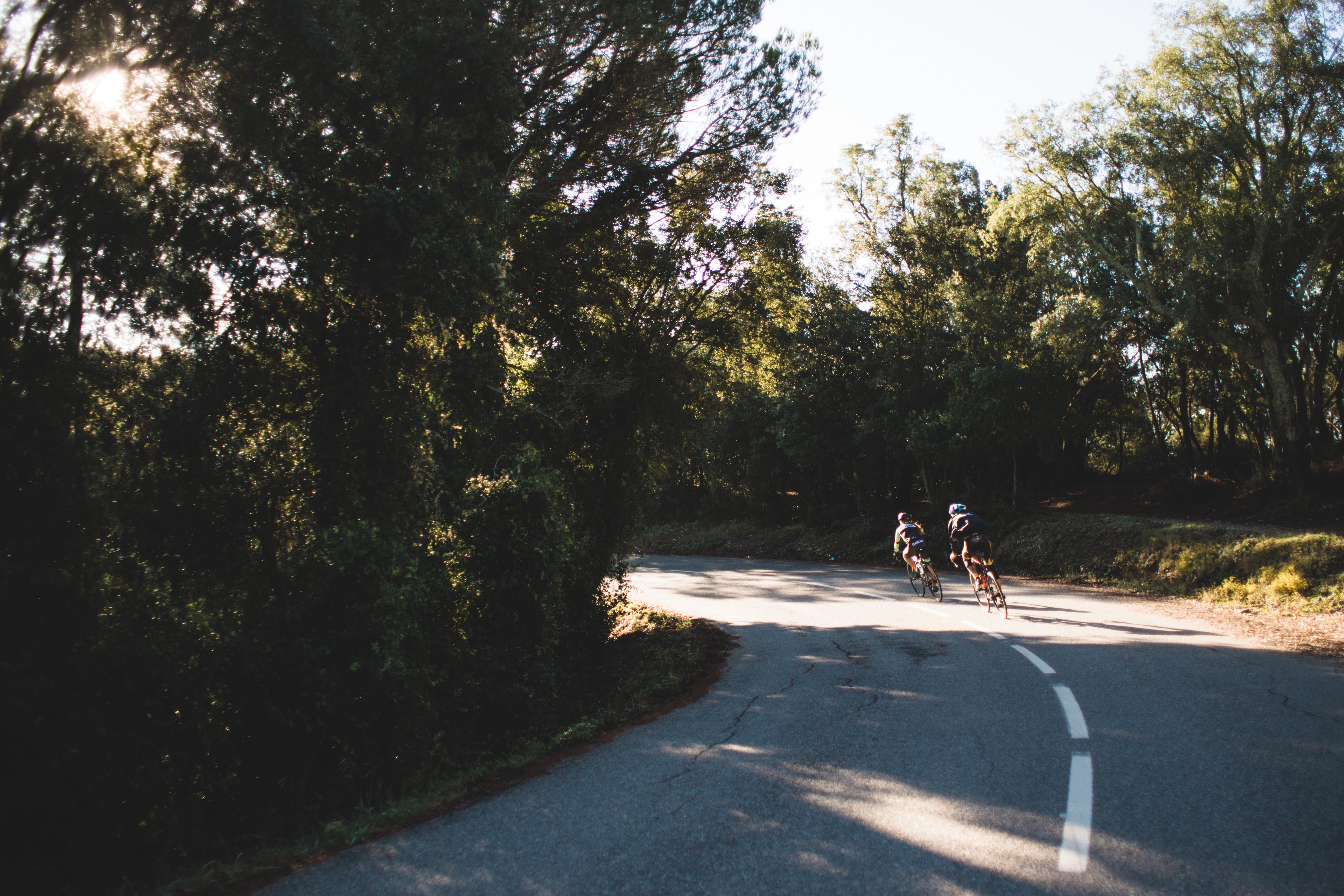 files/bikes-take-the-turn.jpg